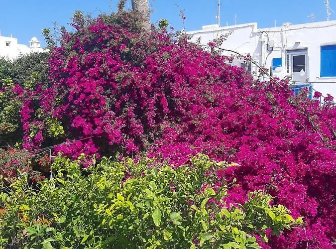 Sole Mykonos Διαμέρισμα Mykonos Town