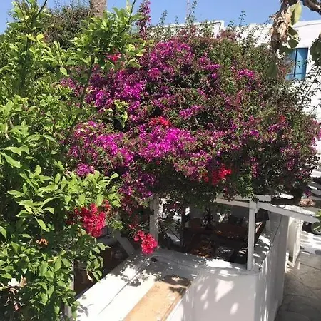 Sole Mykonos Mykonos Town